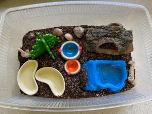 Hermit Crab set up with many extras