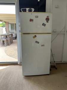 Kelvinator large spacious fridge