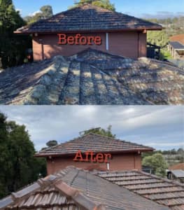 Roof Painters and Pressure Washing 