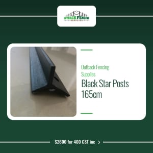 Black star posts 165cm