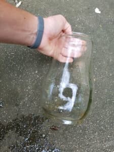 Vintage kerosene storm lantern glass insert