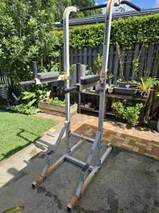 Free exercise power tower