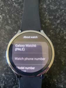 S6 samsung watch, come with charger and protective case $450