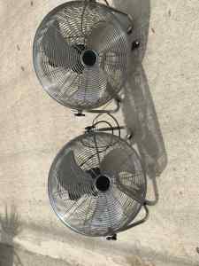Large fans
