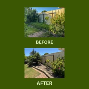 Expert Lawn Mowing Services Perth (Shine & Trim)