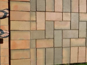 Wanted: WANTED AUSTRAL PAVERS TOBAGO FIRE 50MM