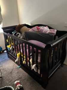 Cheap cot (mattress included) and bookcase