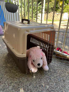 Dog or cat carrier, crate in very good condition, like new