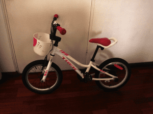 Kid's Trek Bike 16'' or 40cm