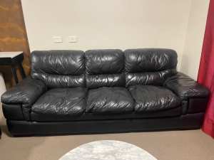 Leather lounges