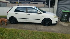 2006 Toyota corolla (reliable and cheap)