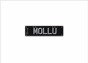 Vehicle Type	Car	 	Plate style name:	Liquid Metal	 	Combination:	M