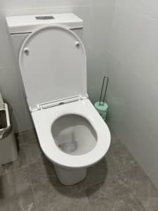 Fienza Delta toilet