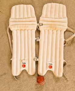 Cricket gear, pads and gloves GOOD CONDITION