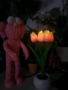 Tulip Nightlight / Lamp