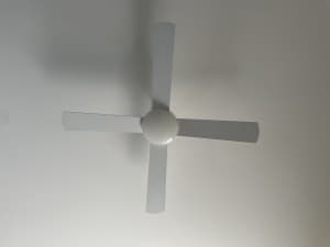 Ceiling fans used x 3