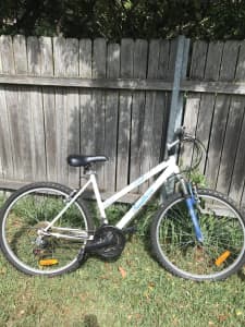 3 family bikes - used - $100 for 3