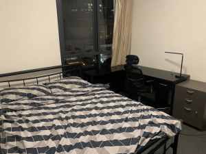 (Male)Two own rooms available in CBD