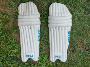 Peak cricket pads $45