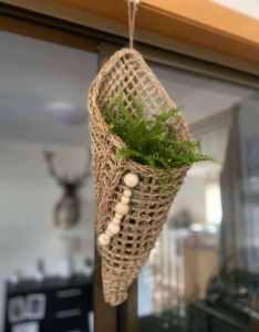 Hanging basket with plant