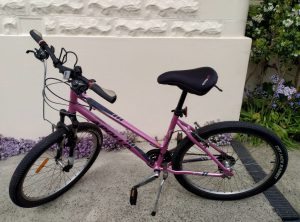 apollo ladies bike with basket