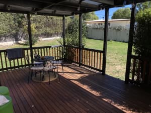 Room for rent in Chifley