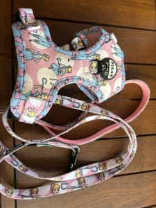 Pablo and co Toy Story collaboration xxs harness and lead 