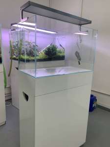 Brand new low iron glass 2ft aquarium