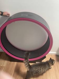 SupermarCat Cat Treadmill Per Sport Wheel