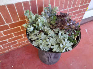 Large balcony planter 