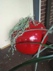 ONO Large apple shaped red decor plant pot