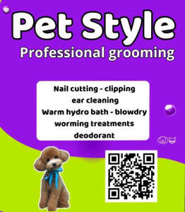 Mobile Professional Dog Grooming