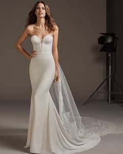 Pronovias Wedding gown dress