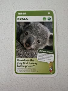 Woolworths Aussie Animals Card 6 - Koala