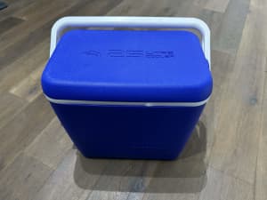 Willow insulated cooler 25 LITERS