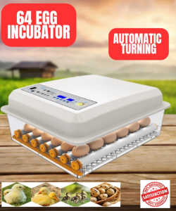 64 Egg Incubator Automatic Turning - Limited Stock
