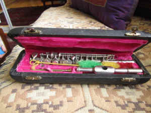 Vintage musical instrument , Parrot flute