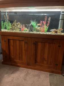 Aquarium, fish tank 3ft