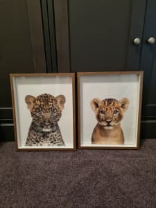 Kids room animal pictures 