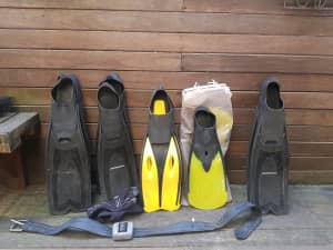 Diving fins and weight belt