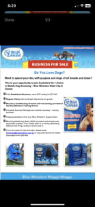 Busy Dog Grooming Business For Sale