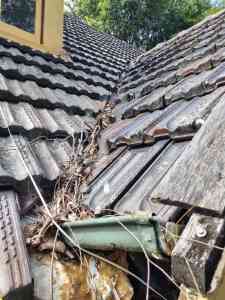 Gutter Clean, roof repairs & leaks