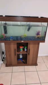 Selling fish tank with its supplies