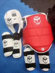 Prodigy Martial Arts sparring kit size S