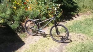 Specialized P Street Dirt Jumper 24 wheels, 22 top tube - Cromoly/st