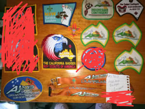 Assorted 2013 scout badges