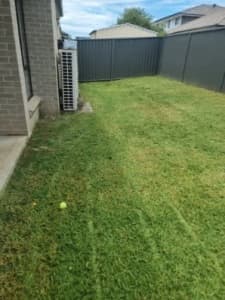 Lawn mowing services unbeatable prices 