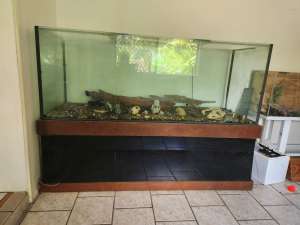 6ft fish tank with stand
