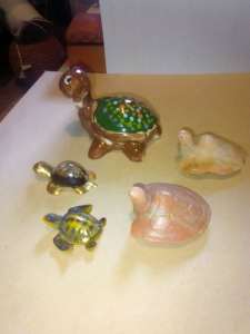 A set of five collectable little turtle figurines