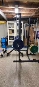 Gym and 100 Kg Ziva Olympic Weights
